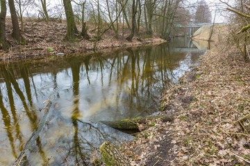 River in springtime forest in Poland