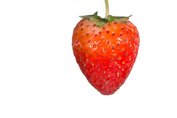 strawberries close up on white background