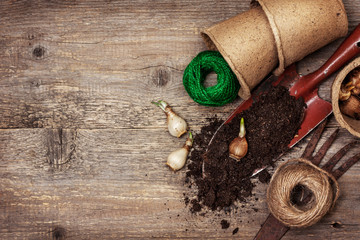 garden tools, peat pots, ground ,   plant the bulbs for planting