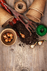 garden tools,   plant the bulbs for planting