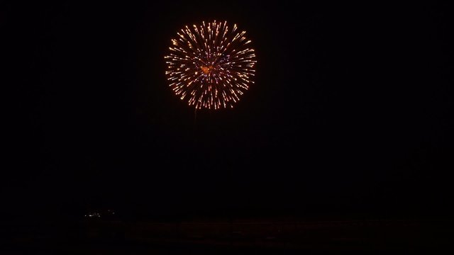 日本の花火 Japanese Fireworks