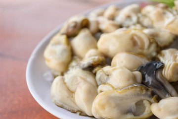 fresh oyster