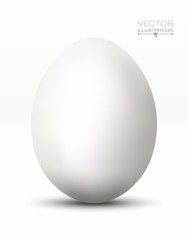 Realistic white egg.