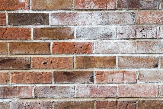 Fototapeta Brick wall with white efflorescence 