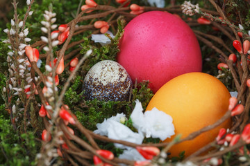 Easter eggs in a basket with a green moss