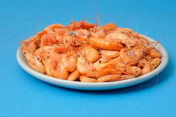 prawn Shrimp