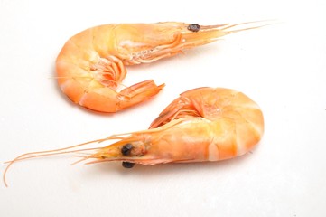 Tropical shrimp