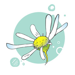 Blooming flower illustration