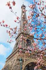 Fototapeta premium Spring in Paris