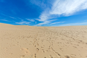 Fototapeta na wymiar View from Dune of Pyla, Arcachon Bay