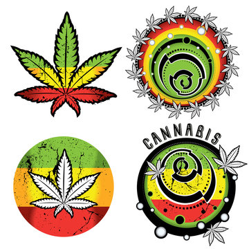 marijuana cannabis leaf symbol design vector illustration