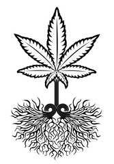 marijuana cannabis leaf symbol design vector illustration