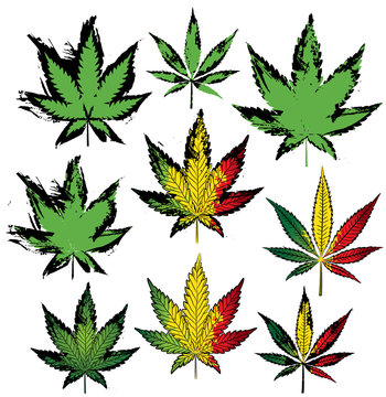 marijuana cannabis leaf symbol vector illustration