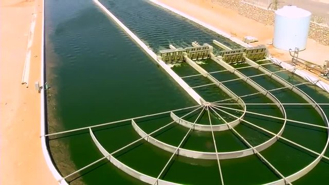 A large scale outdoor farm grows algae for biofuel.