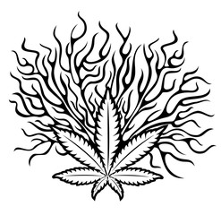 marijuana cannabis leaf symbol design with texture vector illustration