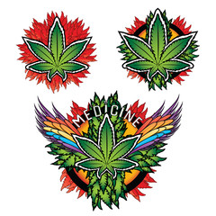 Obraz premium Marijuana design leaf with colored texture background