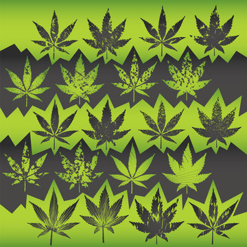 marijuana cannabis textured leaf symbol design stamps vector illustration