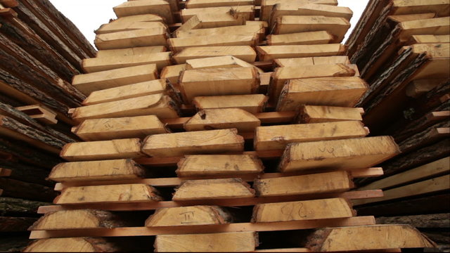 production of wood boards plant