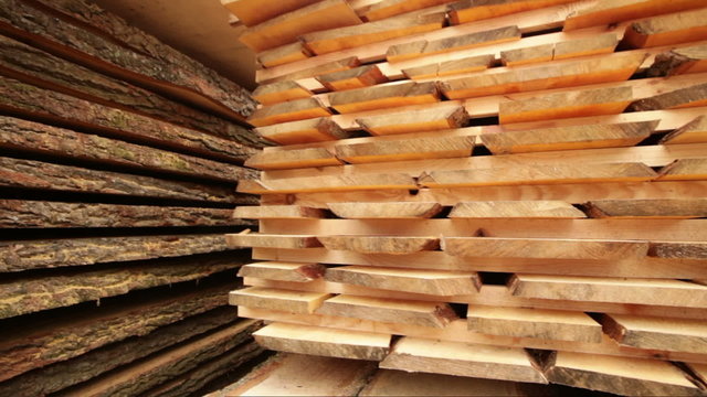 production of wood boards plant