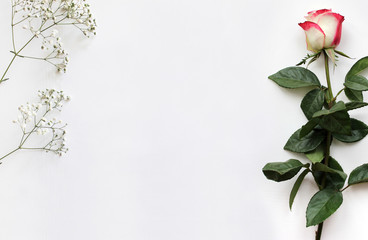 Mockup for presentations with a Rose and Gypsophila