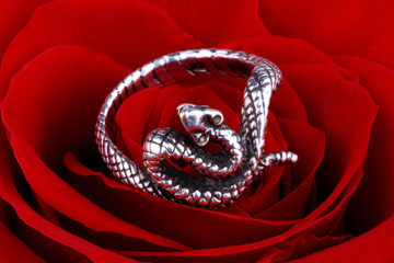 Silver snake