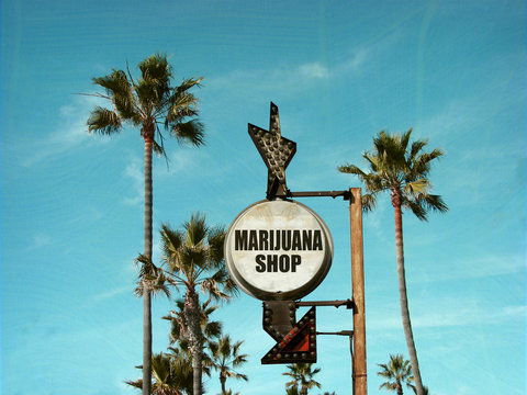 aged and worn vintage photo of marijuana sign with palm trees