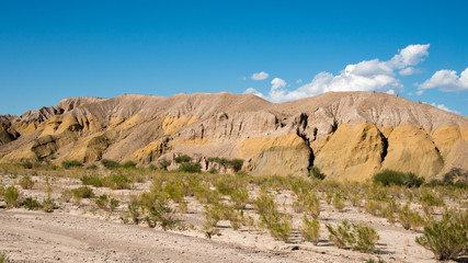 Big Bend National Park