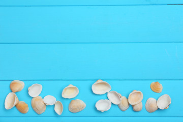 Seashells on wooden background
