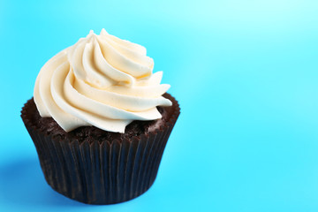 Chocolate cupcake on blue background
