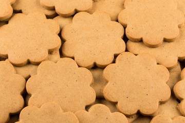 Gingerbread star cookies