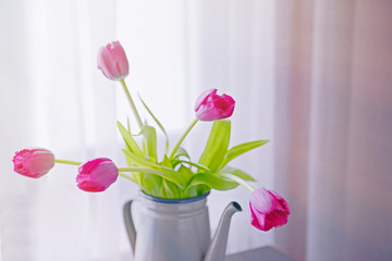 Tulips in watering can on the table, close up