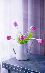 Fototapeta na wymiar Tulips in watering can on the table, close up