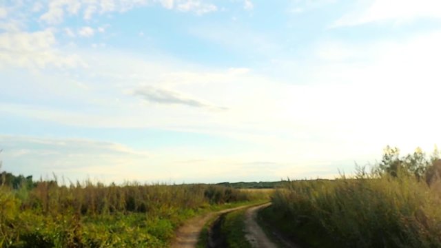 Summer landscape with country road and field of wheat in slowmotion. 1920x1080