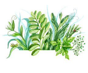 Watercolor bunch of green plants