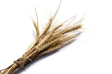 bunch of wheaten ears on a white background