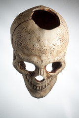 Naklejka premium skull on a light background top view
