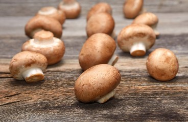 champignon on wooden background