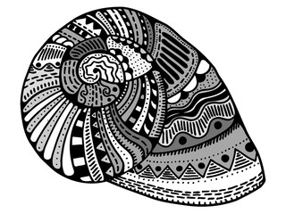Zentangle stylized shell