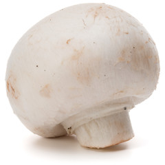 Champignon isolated on white background cutout