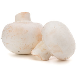 Champignon isolated on white background cutout