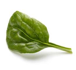 Baby spinach leaves isolated on white background cutout