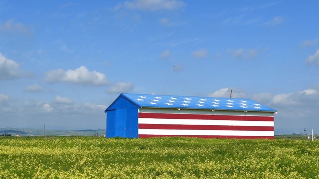 Special American flag style house with flower field and blue sky