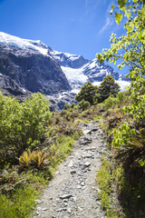 Fototapeta na wymiar Rob Roy Glacier National Park Neuseeland