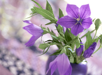 紫色のききょうのフラワーアレンジメント