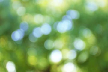 Blurred autumn background