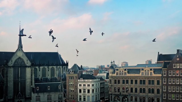Birds Fly Past Cathedral Cityscape