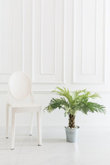 Empty chair with vase plant