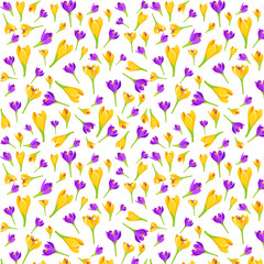 Vector floral pattern with crocus flowers. Garden, spring floral background.