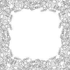 wild chrysanthemum line frame