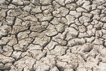 Closeup of dry soil.